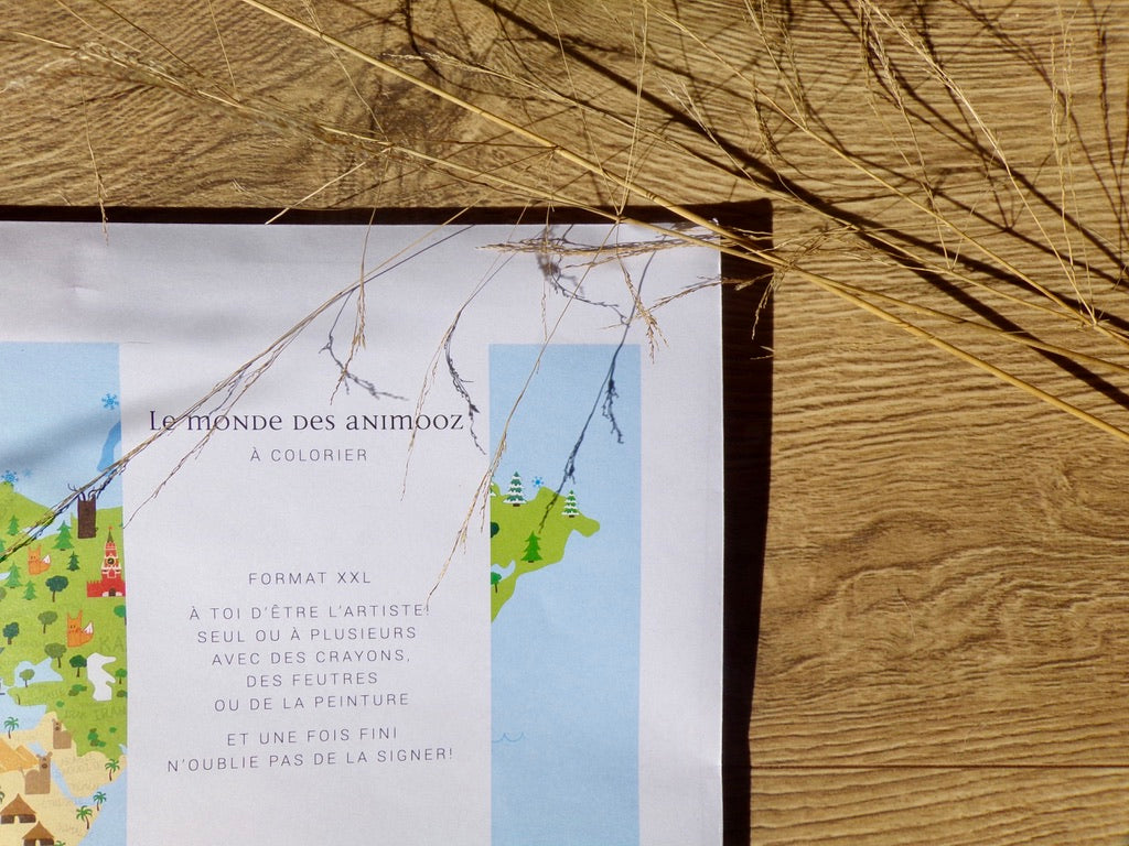 le monde des Animooz à colorier - format XXL